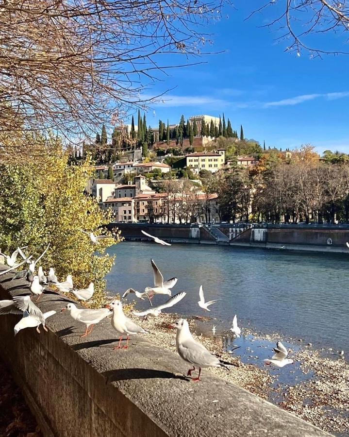 Casa Vacanza Elena Verona Bagian luar foto