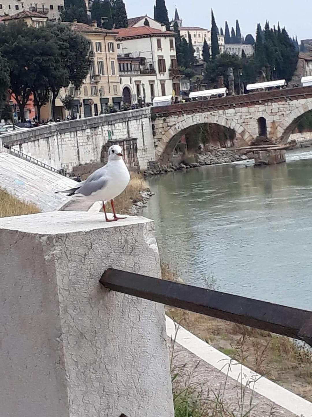 Casa Vacanza Elena Verona Bagian luar foto